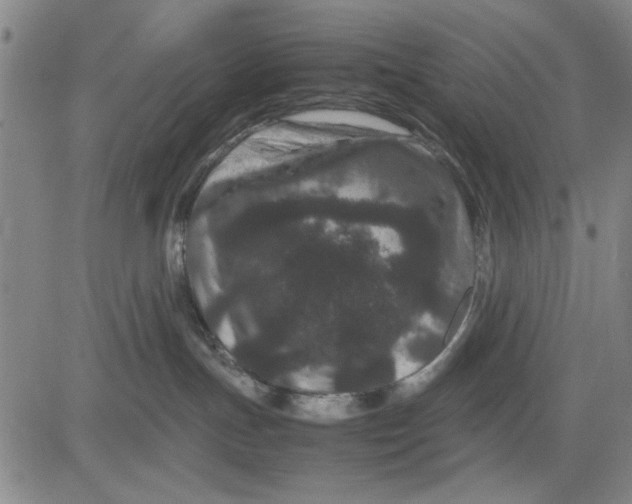 X0000081430191200702021702