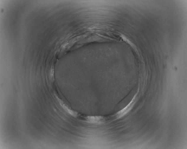 X0000081430192200702021702