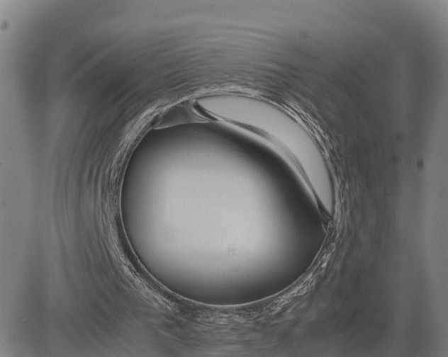 X0000081430193200702021701