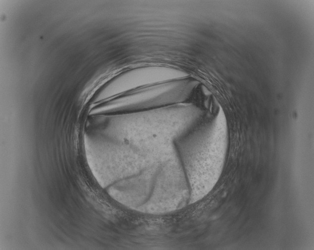 X0000081430194200702021701