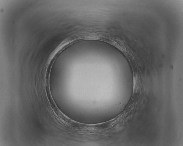 X0000081430195200702021701