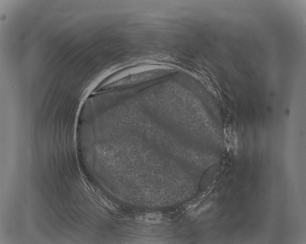 X0000081430196200702021701