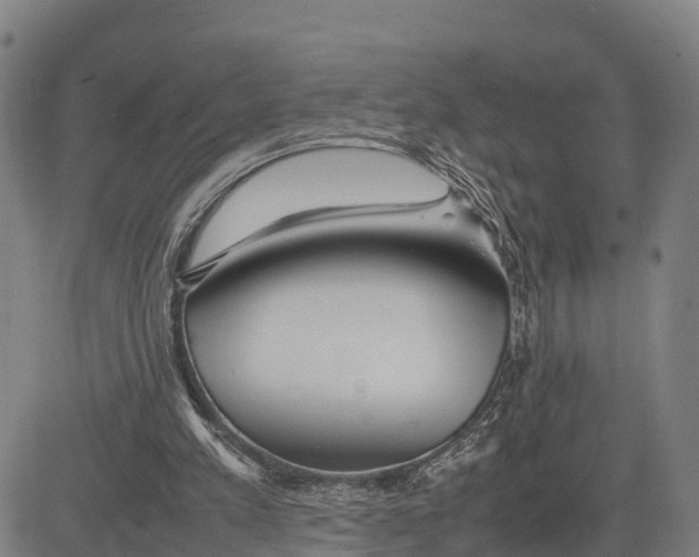 X0000081430197200702021701