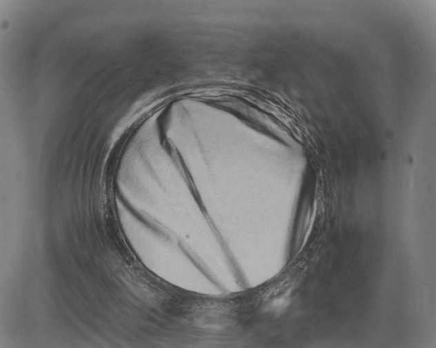 X0000081430198200702021701