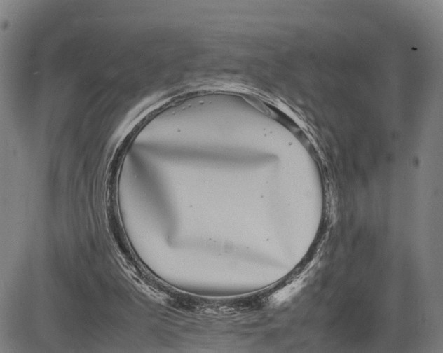 X0000081430199200702021701