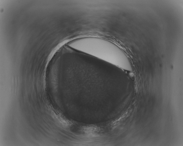 X0000081430200200702021701