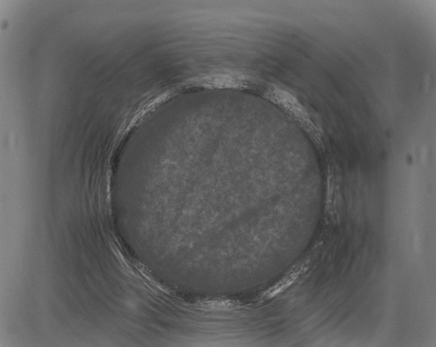 X0000081430202200702021701