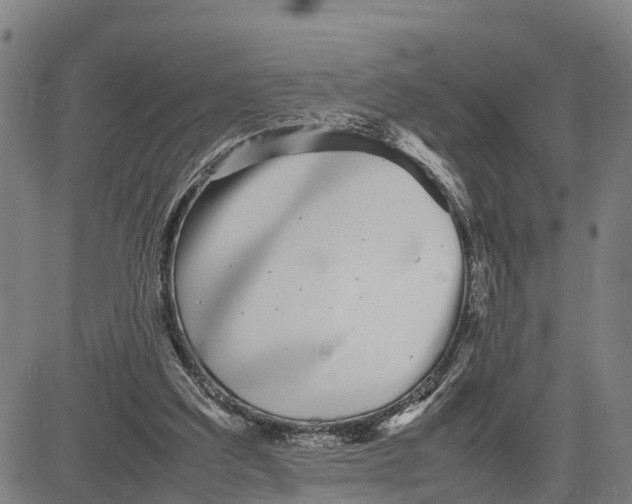 X0000081430203200702021701