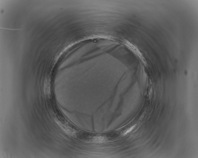 X0000081430204200702021701