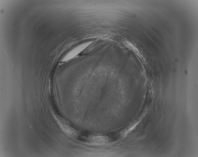 X0000081430205200702021701