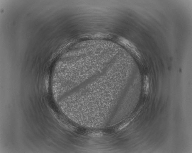 X0000081430206200702021701