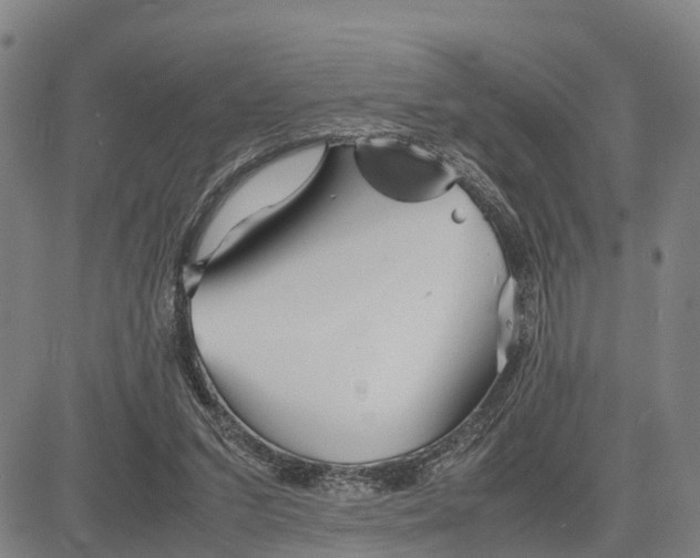 X0000081430207200702021701