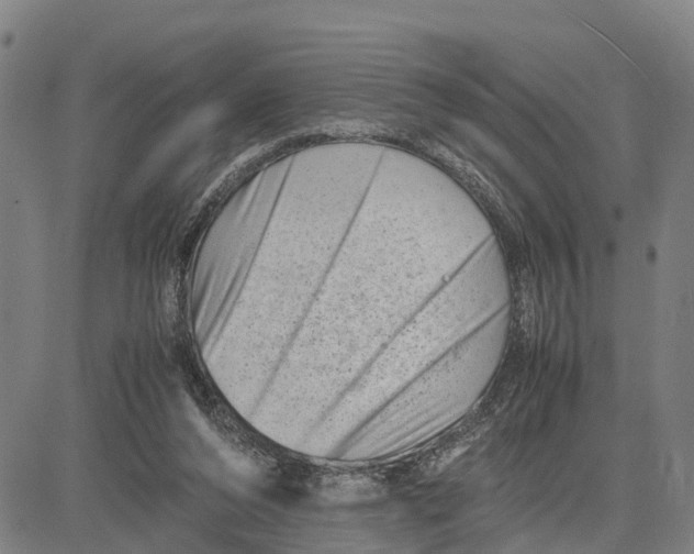 X0000081430208200702021700