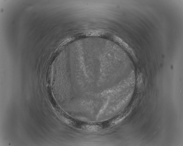 X0000081430209200702021700