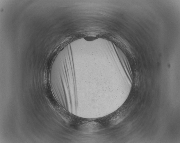 X0000081430210200702021700