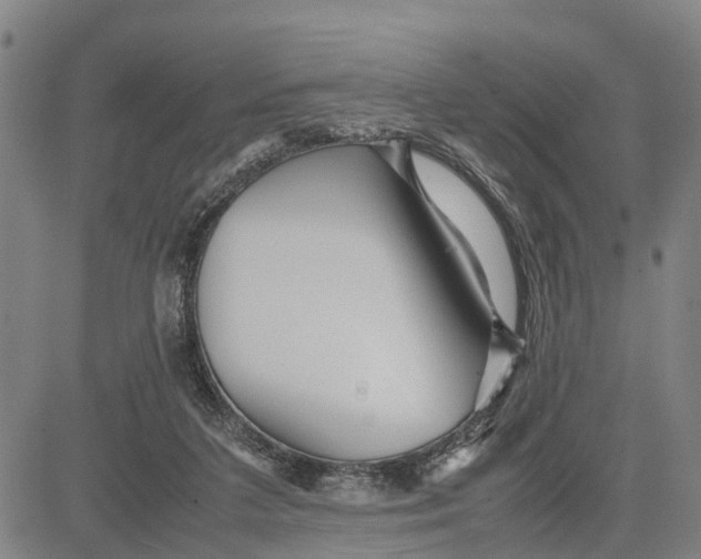 X0000081430211200702021700