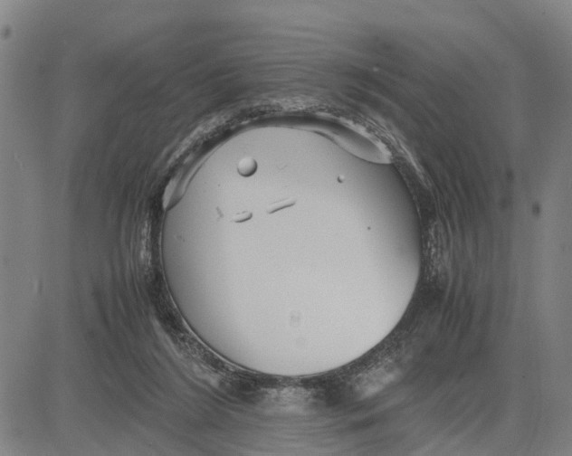 X0000081430212200702021700