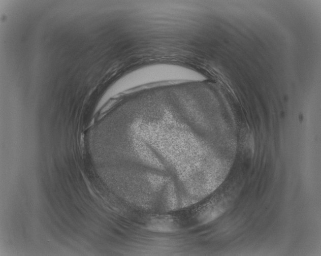 X0000081430214200702021700