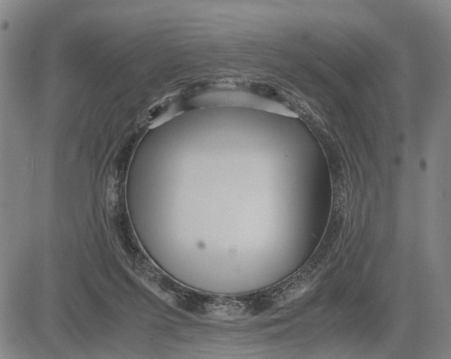 X0000081430215200702021700