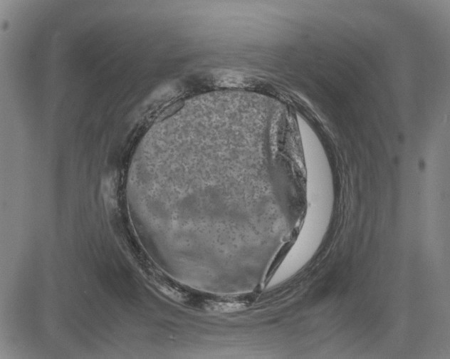 X0000081430217200702021700