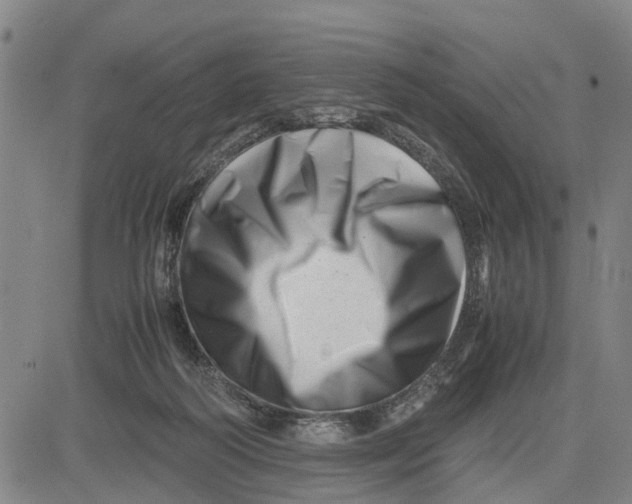 X0000081430218200702021700