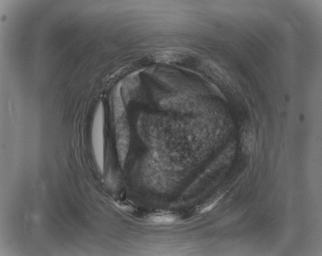 X0000081430219200702021700