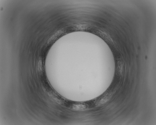 X0000081430220200702021700