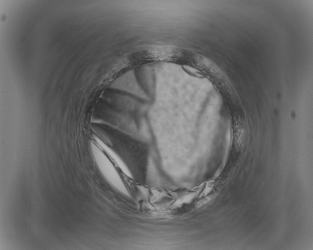 X0000081430221200702021700