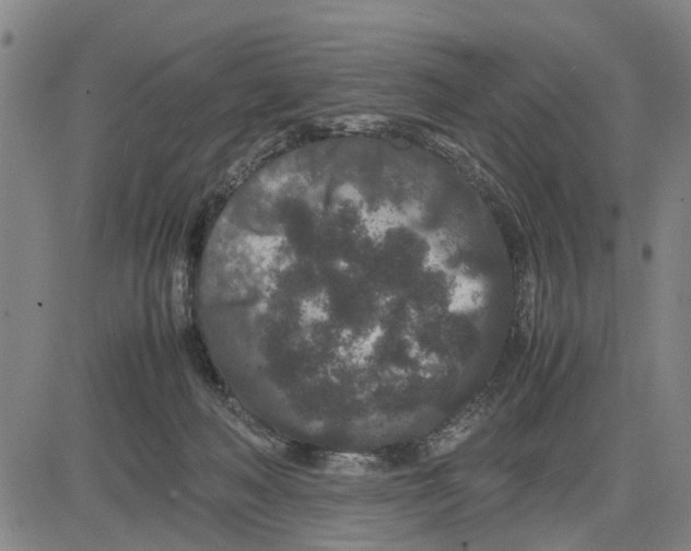 X0000081430222200702021700