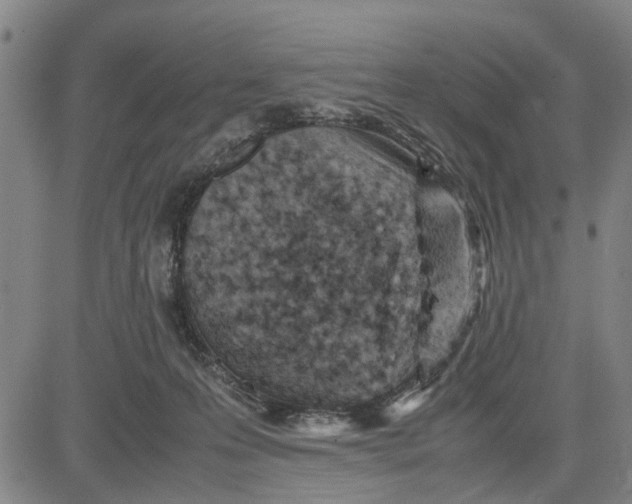 X0000081430223200702021700