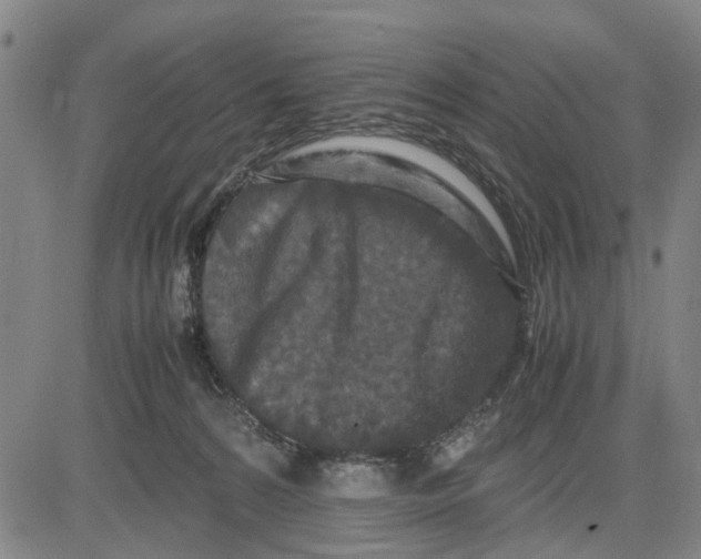 X0000081430224200702021700