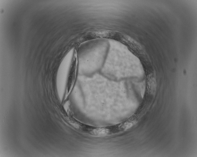 X0000081430225200702021700