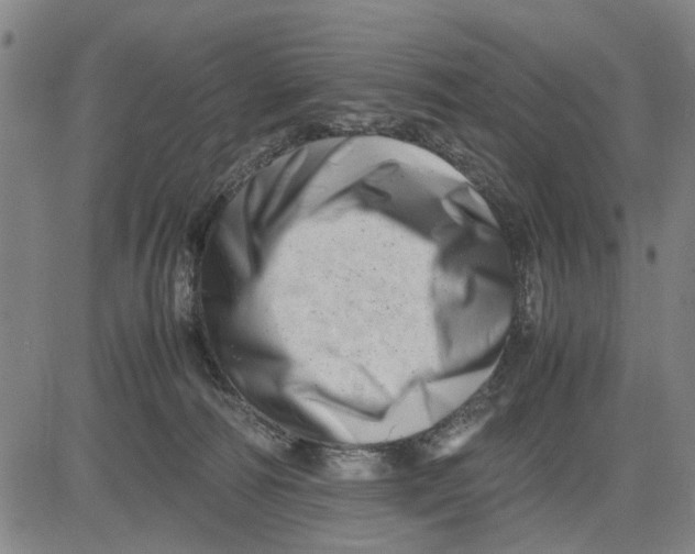 X0000081430226200702021700