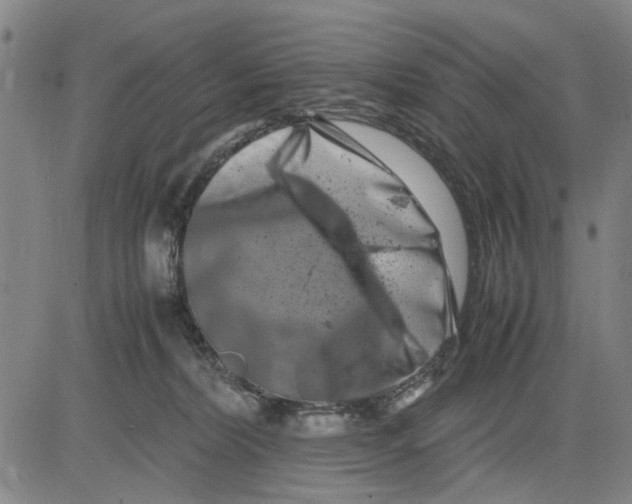 X0000081430228200702021700