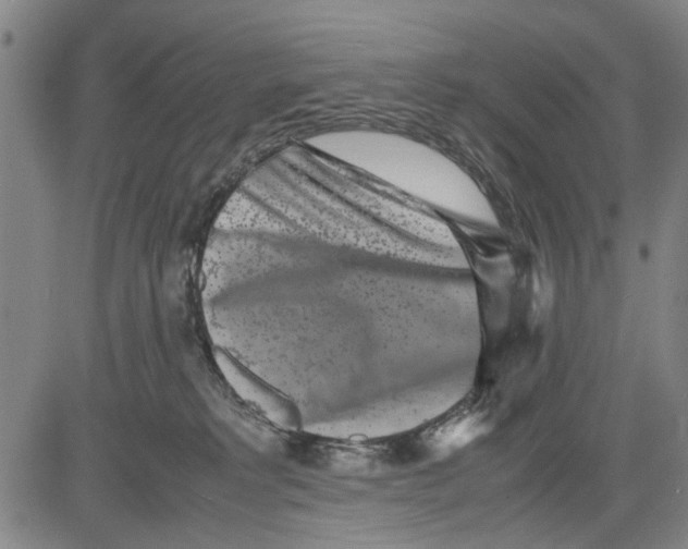 X0000081430229200702021700