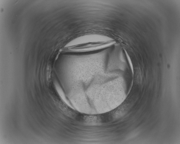 X0000081430230200702021700