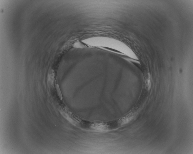 X0000081430231200702021700