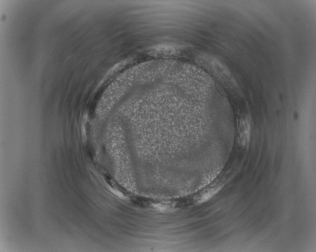 X0000081430232200702021700