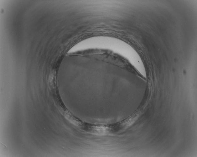 X0000081430233200702021700