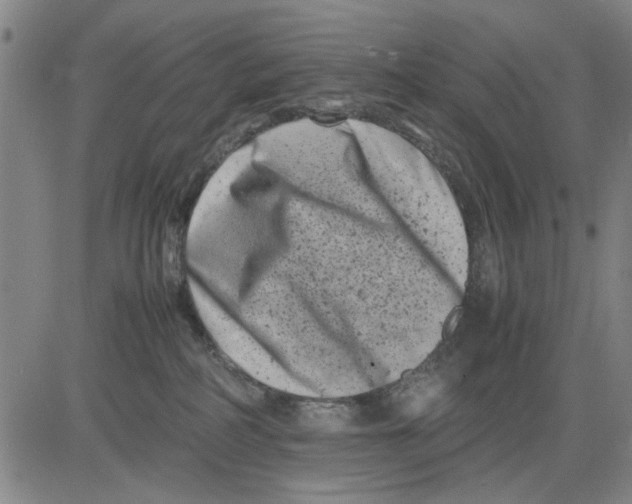 X0000081430234200702021700