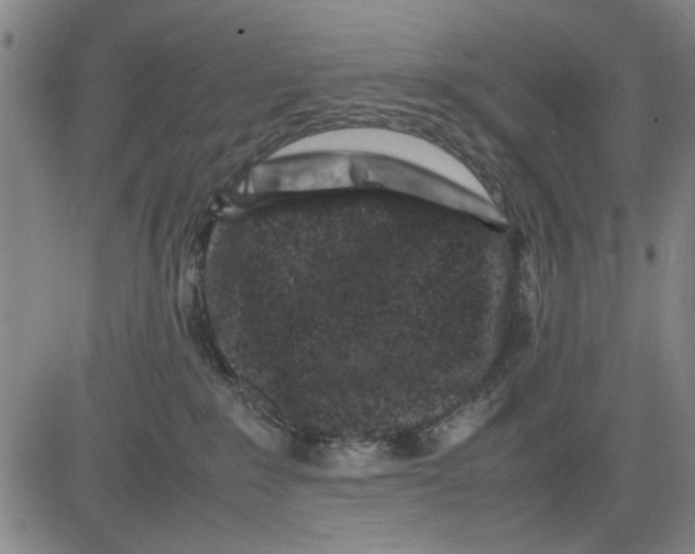 X0000081430235200702021700