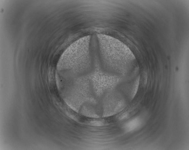 X0000081430236200702021700