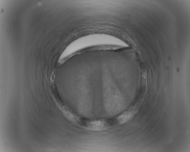 X0000081430237200702021700