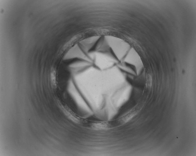 X0000081430238200702021700