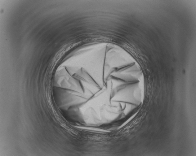 X0000081430241200702021659