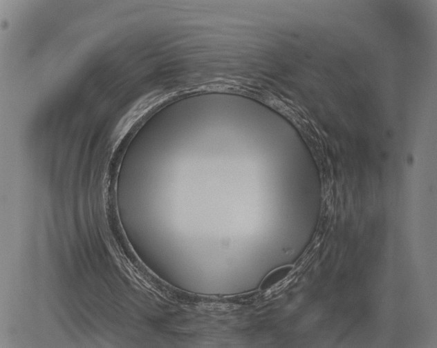 X0000081430242200702021659