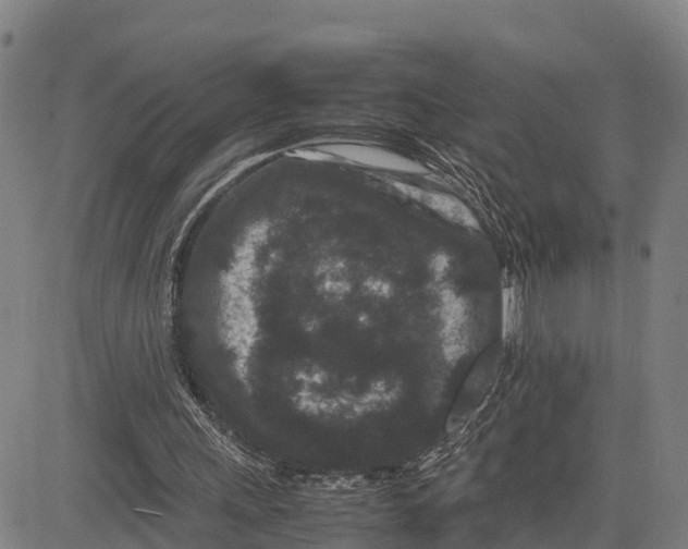 X0000081430243200702021659