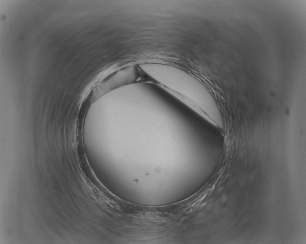 X0000081430244200702021659