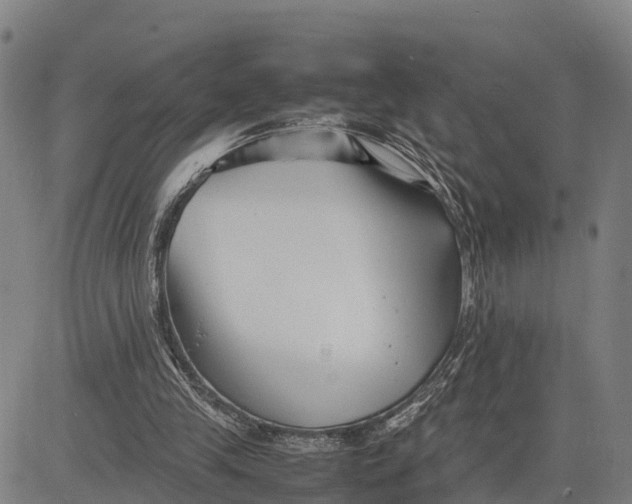 X0000081430245200702021659