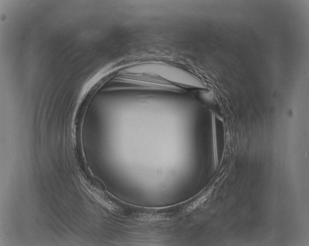 X0000081430246200702021659